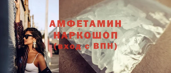 ПСИЛОЦИБИНОВЫЕ ГРИБЫ Гусь-Хрустальный
