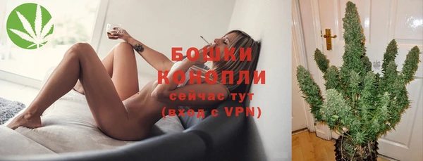 МДПВ Гусев