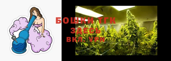 МДПВ Гусев