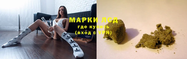 МДПВ Гусев