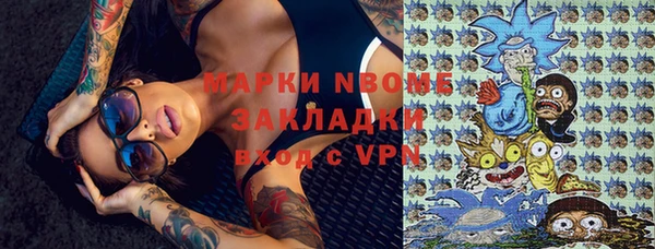 ПСИЛОЦИБИНОВЫЕ ГРИБЫ Гусь-Хрустальный