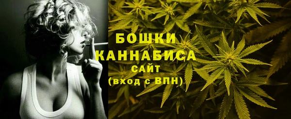 ПСИЛОЦИБИНОВЫЕ ГРИБЫ Гусь-Хрустальный