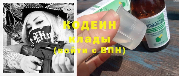 МДПВ Гусев