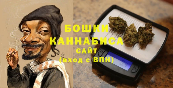 ECSTASY Гусиноозёрск