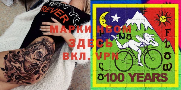 ПСИЛОЦИБИНОВЫЕ ГРИБЫ Гусь-Хрустальный