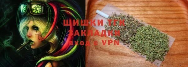 МДПВ Гусев