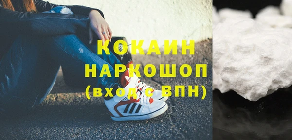 ПСИЛОЦИБИНОВЫЕ ГРИБЫ Гусь-Хрустальный