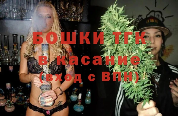ПСИЛОЦИБИНОВЫЕ ГРИБЫ Гусь-Хрустальный